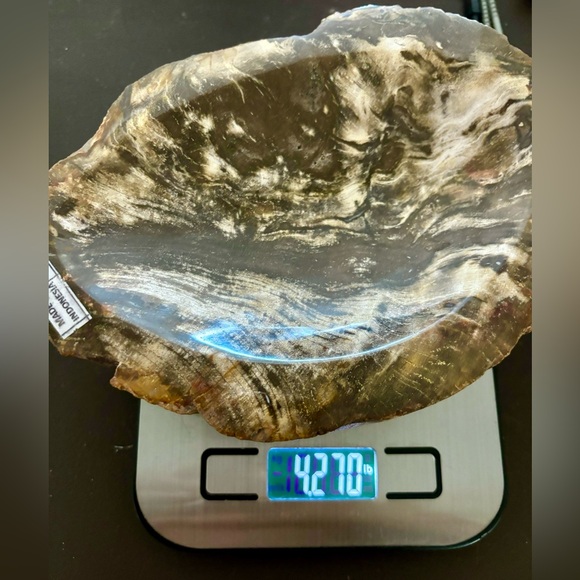 Petrified Wood Bowl - Picture 6 of 8